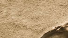 Sólo uno de cada 1.000 millones de huesos acaba en fósil. Getty Images