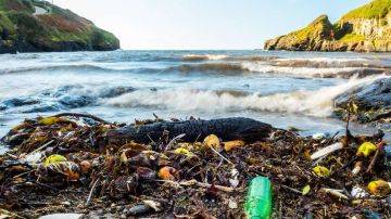 Cada año, 8 millones de toneladas plásticos acaban en el océano.