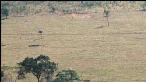 Los geoglifos son figuras geométricas talladas en la tierra. Foto: Universidad de Exeter.