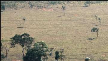 Los geoglifos son figuras geométricas talladas en la tierra. Foto: Universidad de Exeter.