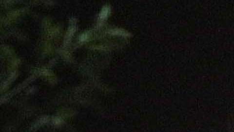 Violencia no cesa en México.