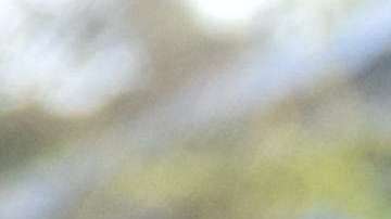 El alcalde Richard Molina dijo que la propiedad es una sociedad entre él y su hermano pero que él no la maneja