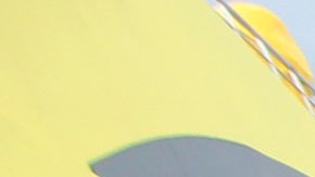 La Policía Federal revisa equipaje de turistas.