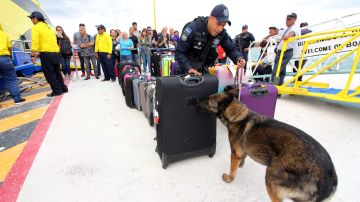 La Policía Federal revisa equipaje de turistas.