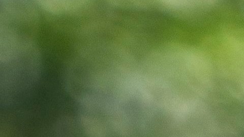 La popularidad del presidente Trump sigue en aumento.