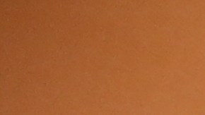 La candidata por la Asamblea Estatal Catalina Cruz y otros activistas denuncian que edificio en la calle 82 en Queens afecta la comunidad.