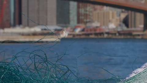 La limpieza de los océanos es necesaria para asegurar la preservación de muchas especies marinas y adidas está contribuyendo al reciclaje de los plásticos.