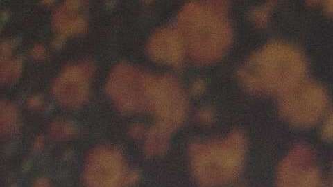 No dormir lo necesario trae consigo problemas de salud.