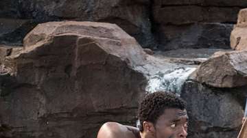 black panther fotograma