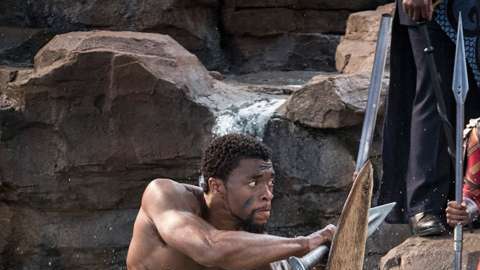 black panther fotograma