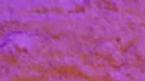 La cantante Camila Cabello lanzó su nuevo video musical para "Never Be The Same"