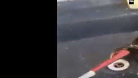 El cangrejo opuso resistencia.