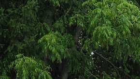 Solicitamos discreción.