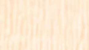 Carlos López Velarde