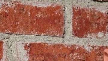 Christerna abrirá el próximo mes un restaurante de comida mexicana en Berlín (Alemania) y una taquería que llevará el nombre de Speakeasy Tacos en el Paseo de la Fama de Hollywood, Los Ángeles.