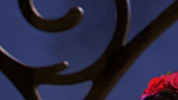 'Coco' es la décimo primera creación de Pixar nominada al Óscar a mejor película de animación.