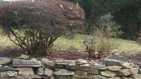 La policía de Yonkers ha lanzado las advertencias