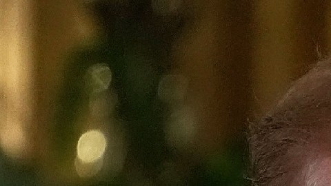 El presidente Trump confía en que haya un diálogo con Corea del Norte.