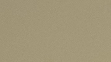 Abogados "pro bono" ayudan a inmigrantes a llenar el formulario N-400.