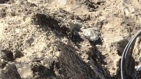 La emergencia se reportó en Rockaway Park