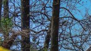 La empresa ha reconocido sus fallas en la respuesta a las tormentas