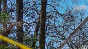 La empresa ha reconocido sus fallas en la respuesta a las tormentas