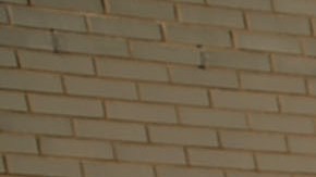 Acciones preventivas han ayudado a controlar la violencia