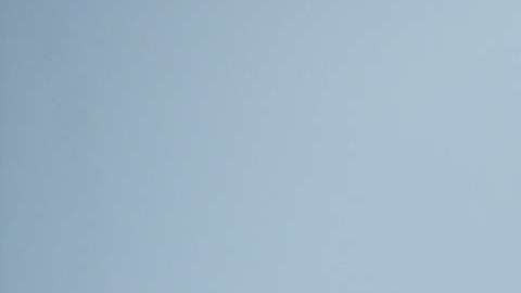 Tampa es de los sitios más inseguros para el tránsito de indocumentados.