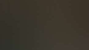 La versión Barbie de Frida Kahlo