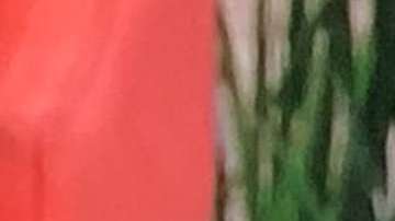 Galilea Montijo comete error en la nueva etapa de "Hoy"