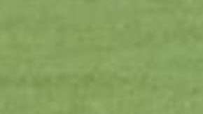 El gato negro que se paseó en Anfield antes del partido entre Manchester United y Liverpool de la fecha 8 de la Premier League.