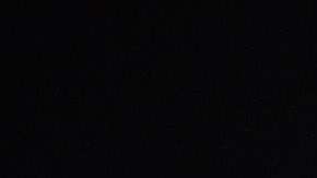 Arnold Schwarzenegger.