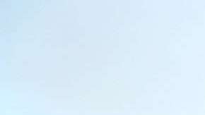 Trump ha sido en fuerte defensor de la venta y uso de armas