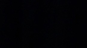 Donald Jr. y su esposa Vanessa acompañaron al presidente Trump el día de su elección.