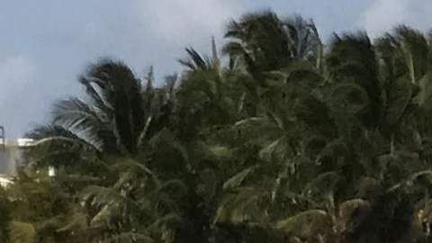 Playa del Carmen es uno de los tres destinos turísticos más importantes en México.