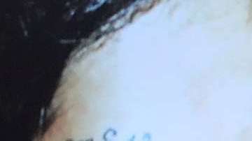 El NYPD mantiene una cruzada contra los miembros de la banda MS-13 en Nueva York.