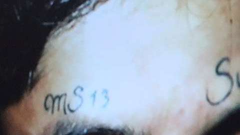 El NYPD mantiene una cruzada contra los miembros de la banda MS-13 en Nueva York.