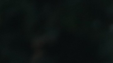 Es la primera vez que se revisarán las finanzas de empresas del presidente Trump.