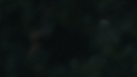 Es la primera vez que se revisarán las finanzas de empresas del presidente Trump.