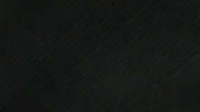 Los jóvenes se conocieron en redes sociales y según la policía planearon el complot para matar a la señora.