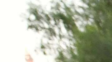 Los jóvenes DACA no son la prioridad.