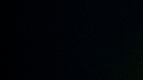 Agentes de CBP realizan operativos en autobuses interestatales.