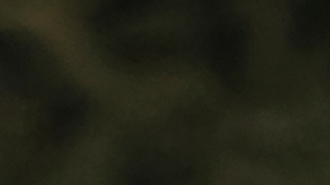 En enero, Jackson destacó la buena salud del presidente Trump, desatando críticas de otros expertos.