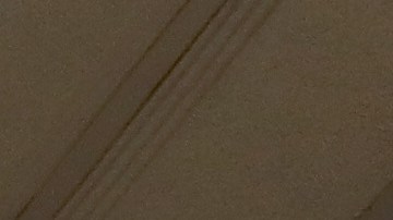 USCIS tiene distintos tipos de visas para laborar en EEUU.