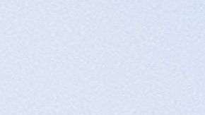 Trump estuvo atento par auxiliar a su esposa