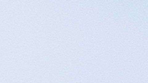 Trump estuvo atento par auxiliar a su esposa