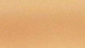 Kim Jong-un y Donald Trump podrín reunirse en abril.