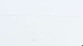 Shawn Mendes, músico y cantante canadiense.