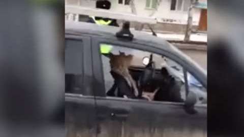 El incidente se reportó en la ciudad rusa de Sterlitamak.