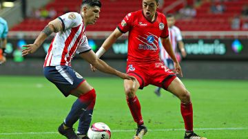 Lobos BUAP recibe a Chivas en duelo de la jornada 11 de la Liga MX